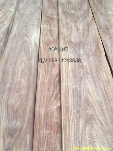 ��(y��u)�|��Ȼ����ɽ�yľƤ