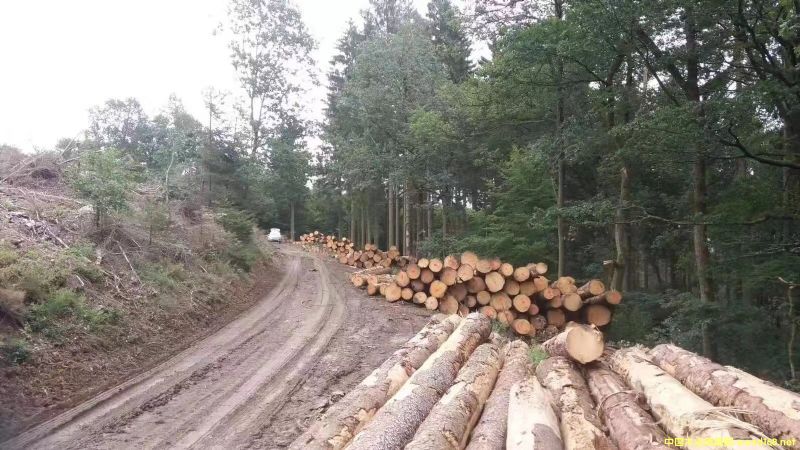 �����W����ɼԭľABC