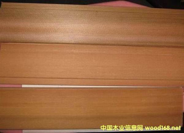 紅雪松的詳細(xì)介紹