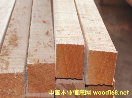 柳桉的詳細(xì)介紹