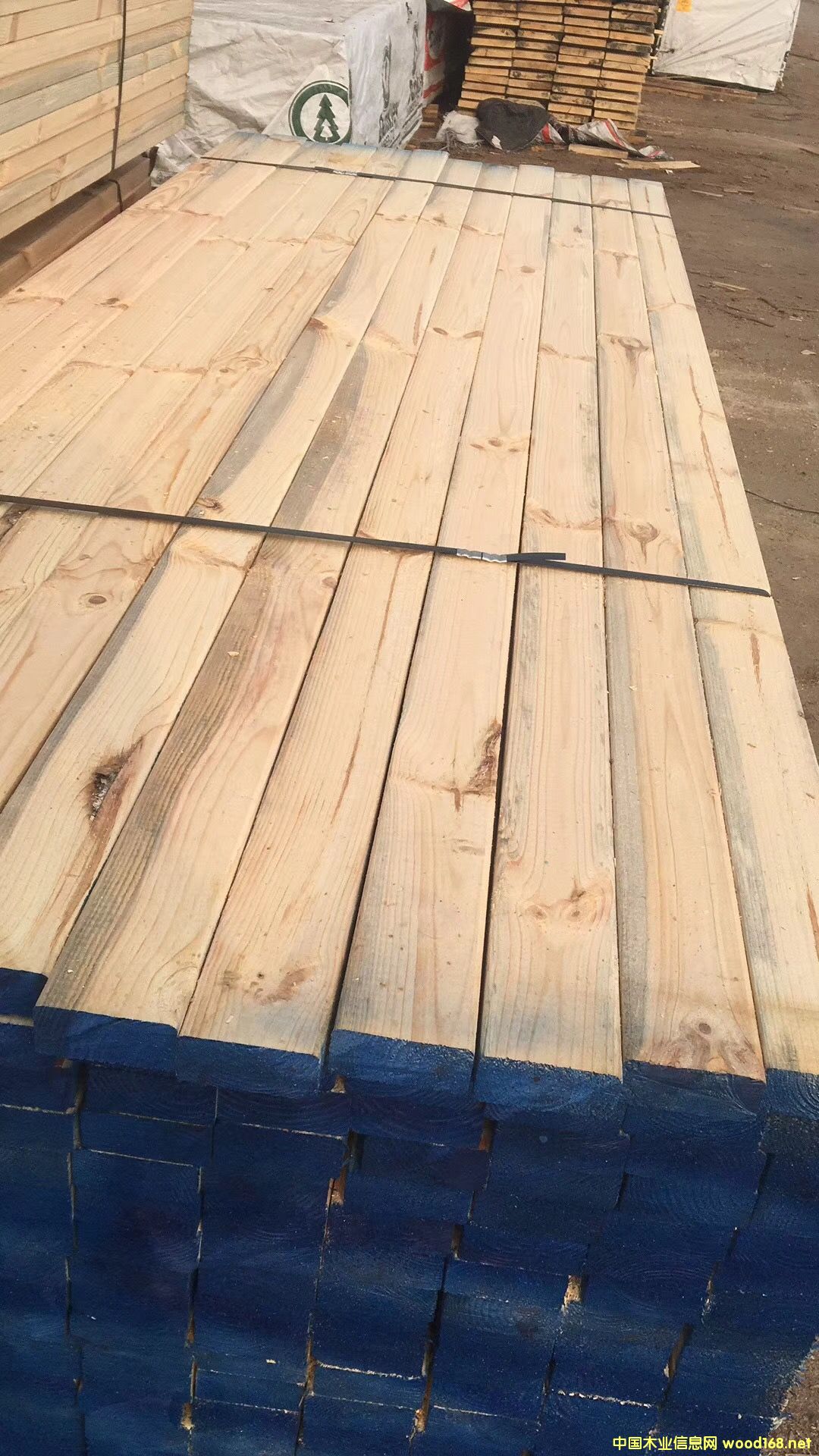 �S��ֱ�N������ľ������ľ��ľ������Ž��������b�ĵ�Ԕ��(x��)��B