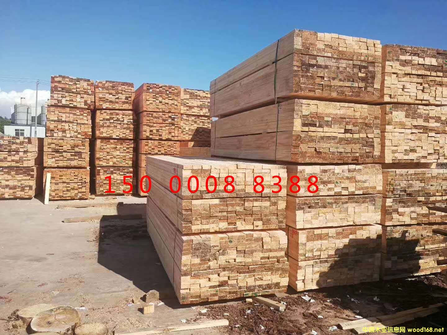 ���ձ��ɵ�Ԕ����B