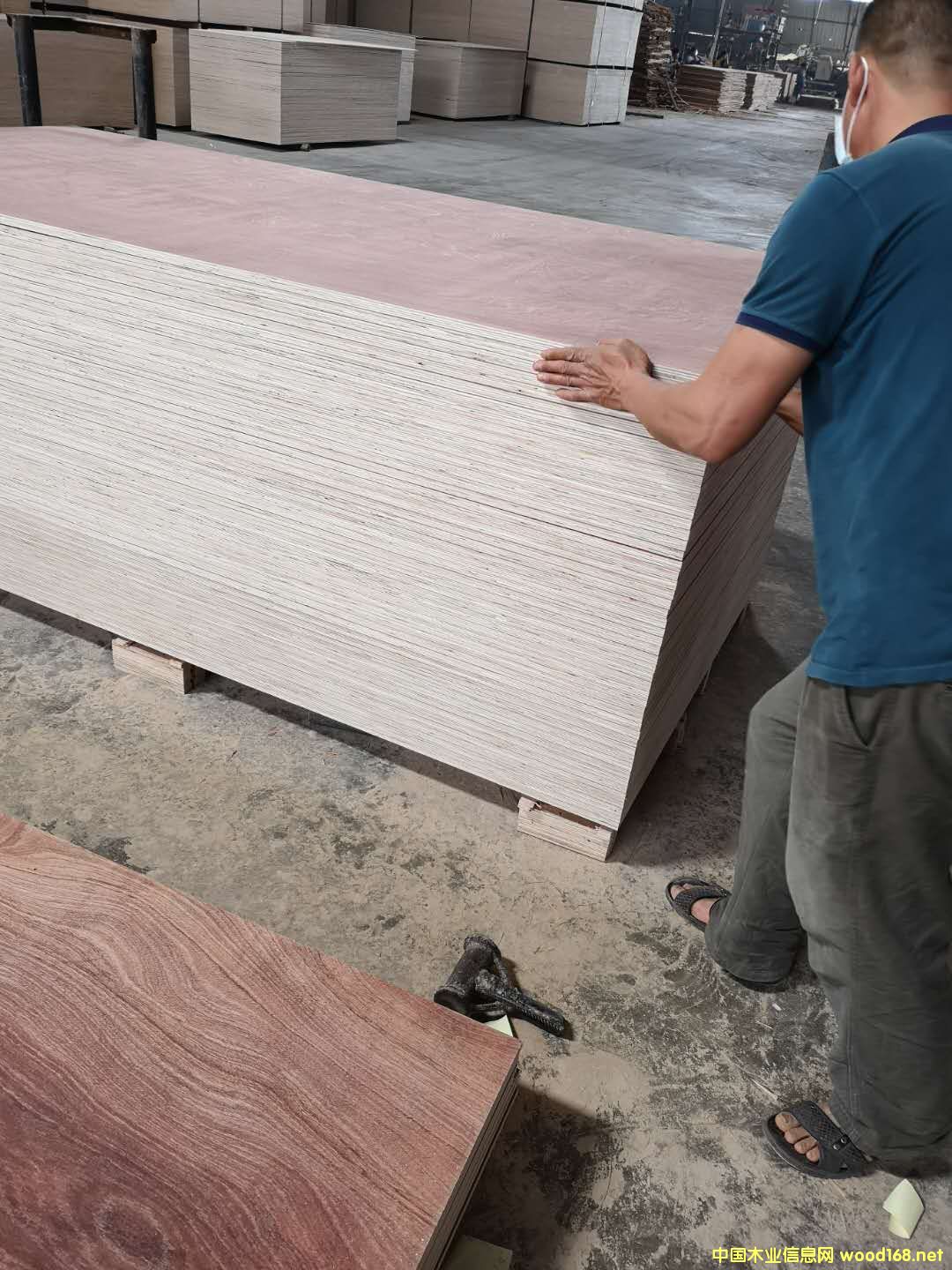 板材的詳細(xì)介紹