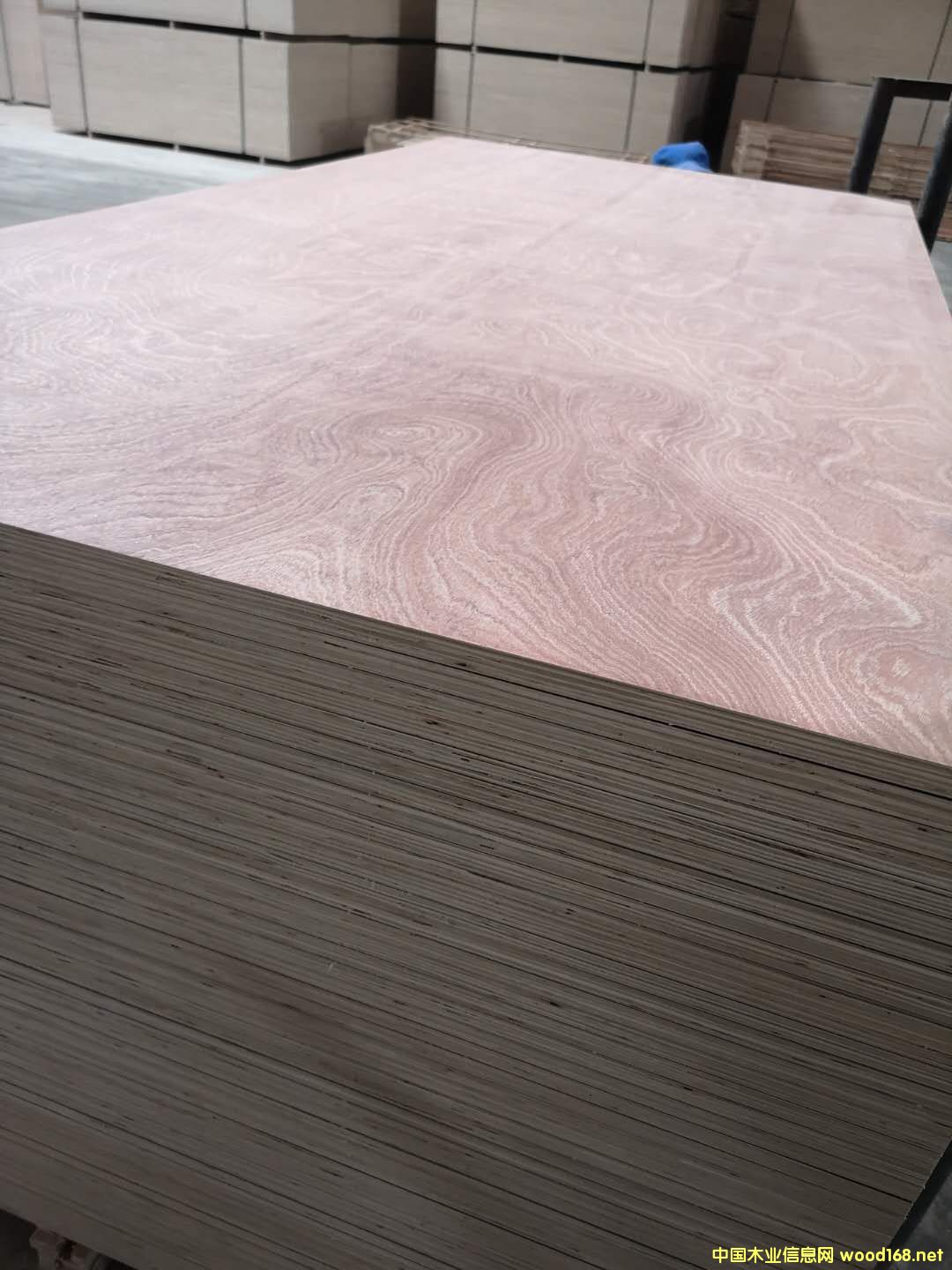 板材的詳細(xì)介紹