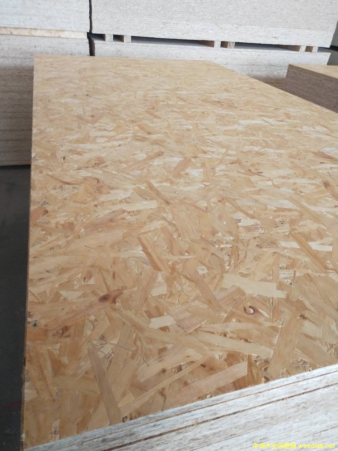 ɽ�|��ǧ����OSB�W�ɰ�