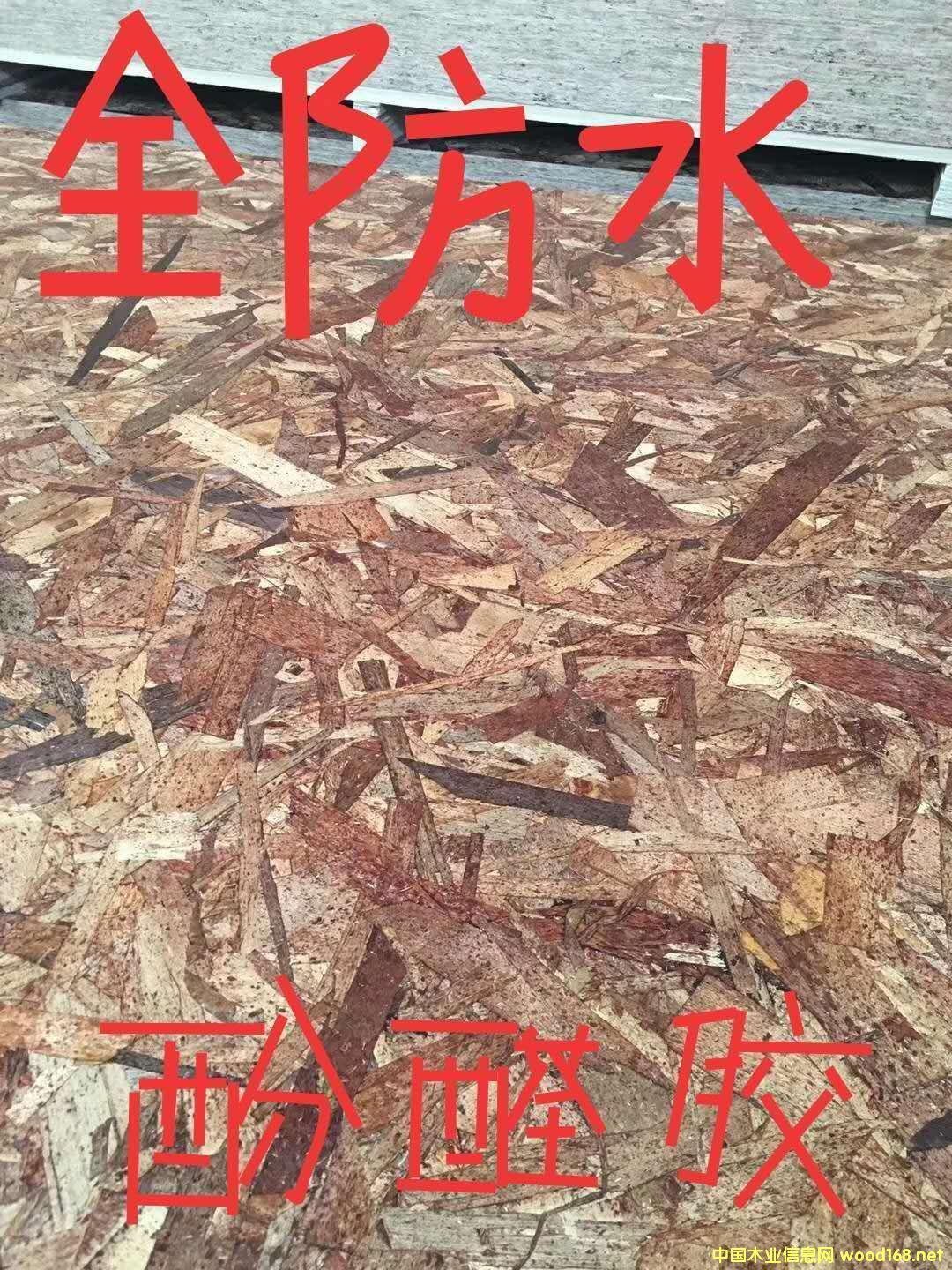 OSB�W�ɰ�