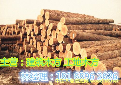 �c(di��n)���鿴����ľ���Ŵ�DƬ