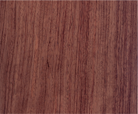 ����ֱ�yľ����