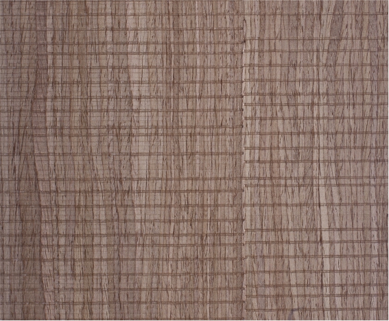 ������X���zľ����