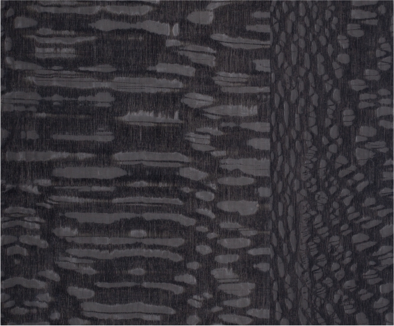 ��������Ⱦɫľ����