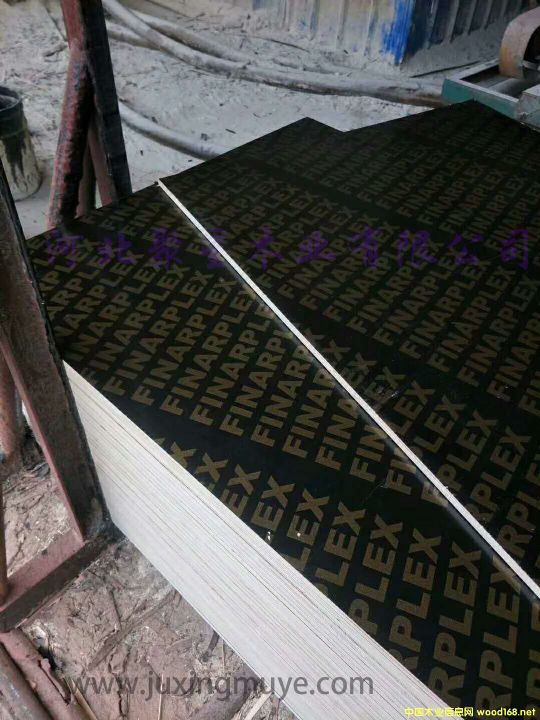 ����ľģ���Ԕ��(x��)��B