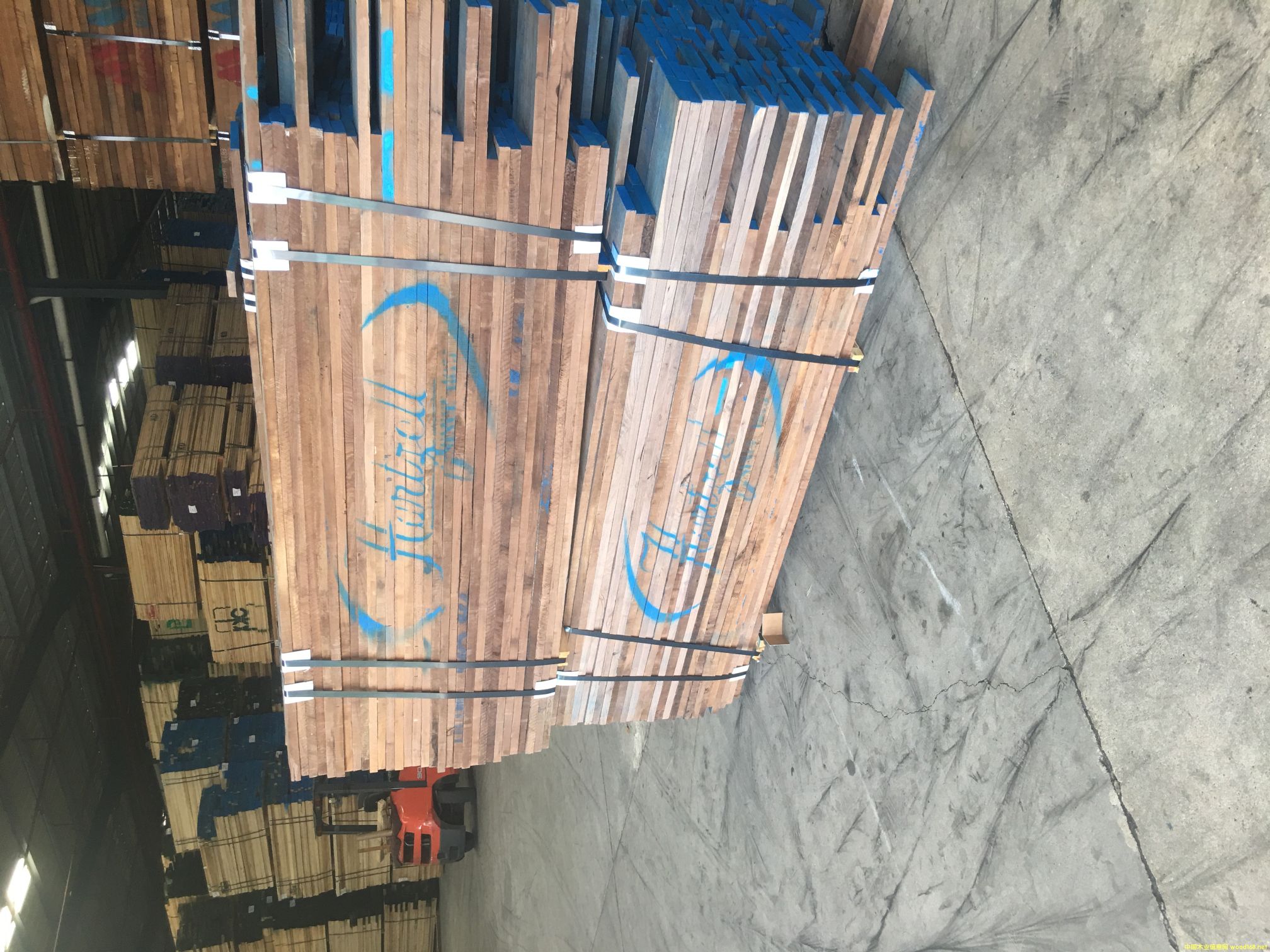 黑胡桃的詳細(xì)介紹