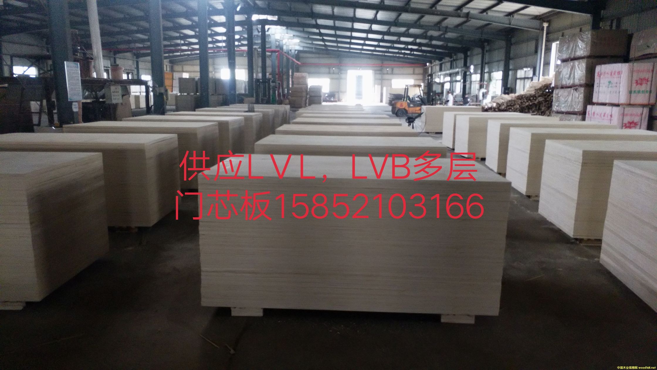 �������ɳ�l(f��)��