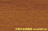 ���޲��}��