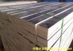 ���b�ô��?sh��)Ķ��Ӱ���z�ϰ�|�ȗl��ľ��