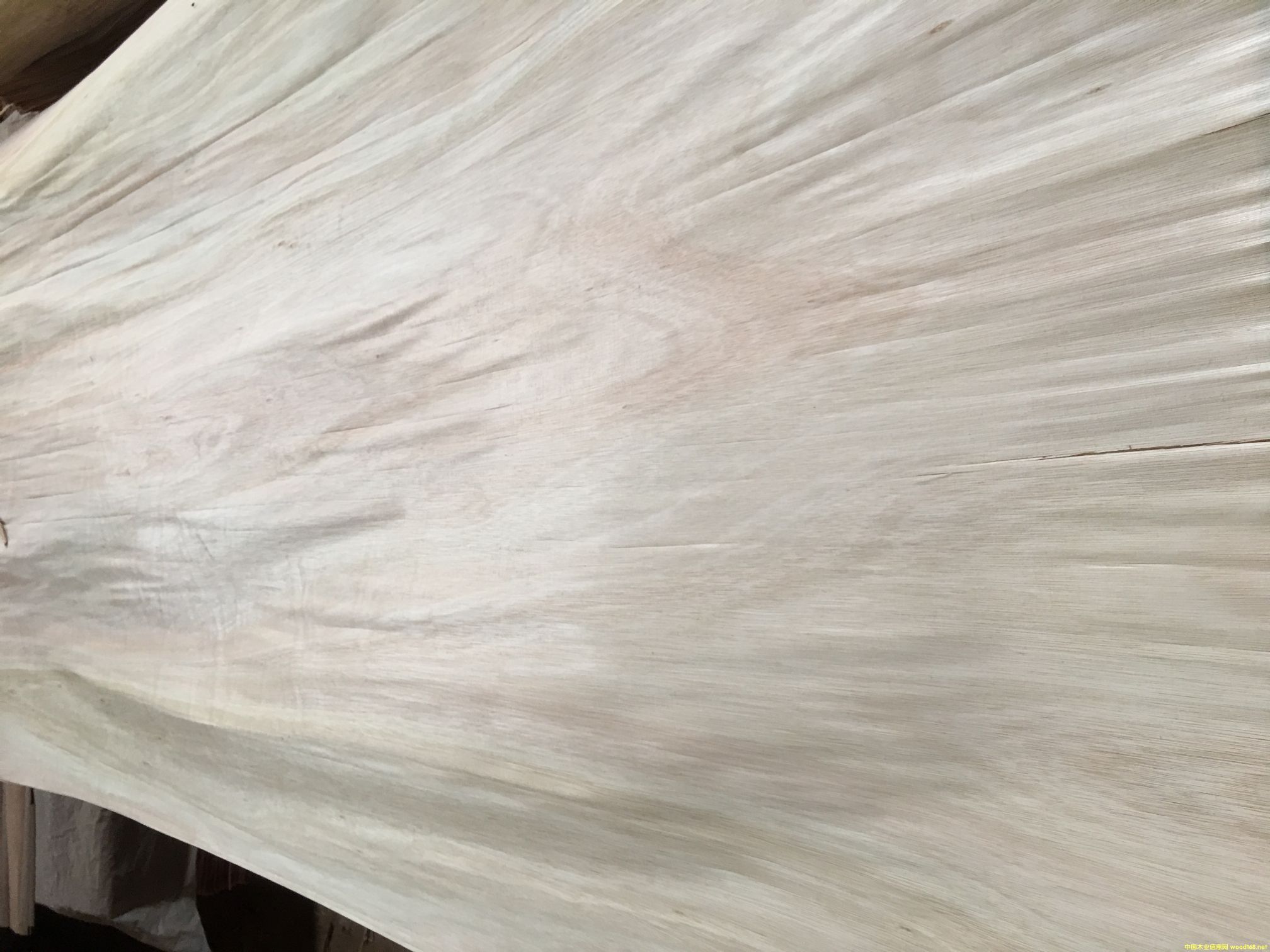 ��������ľ���a(ch��n)��Ƥ�������ʸߵ�Ԕ��(x��)��B