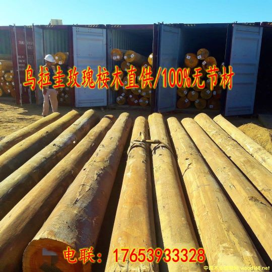 ���N��������ľԭľ��Ԕ��(x��)��B