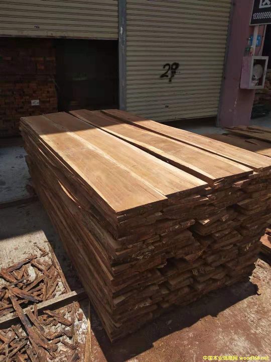 ��������̴