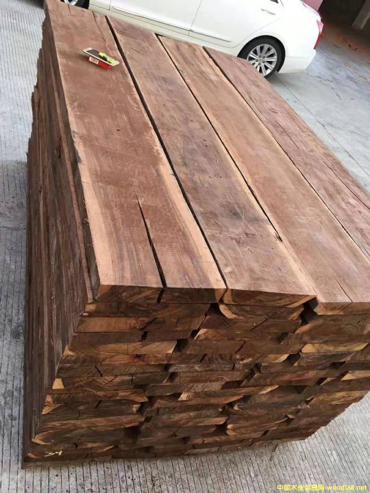 ����կ����֦