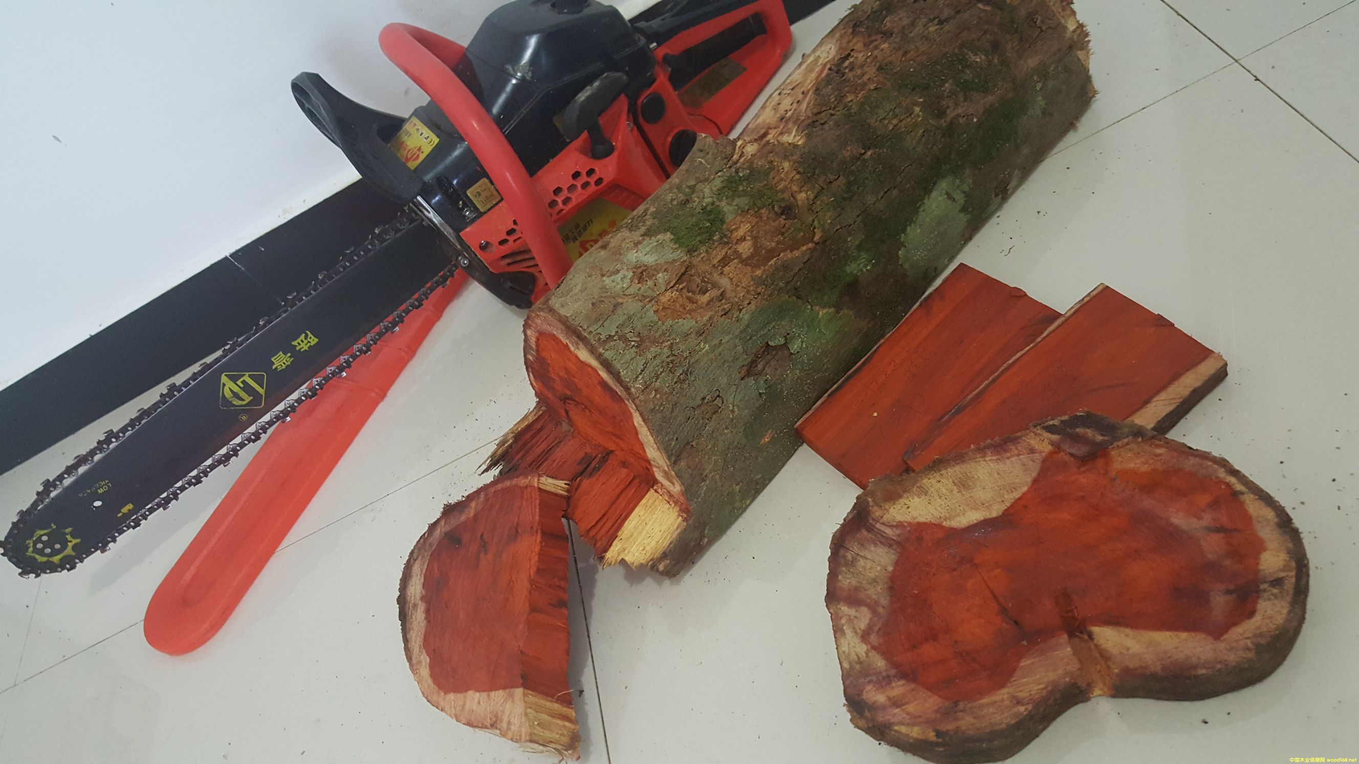 ��̴ cam wood��Ԕ��(x��)��B