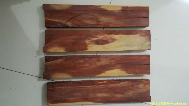 ��̴ cam wood��Ԕ��(x��)��B