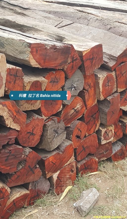 ��̴ cam wood��Ԕ��(x��)��B