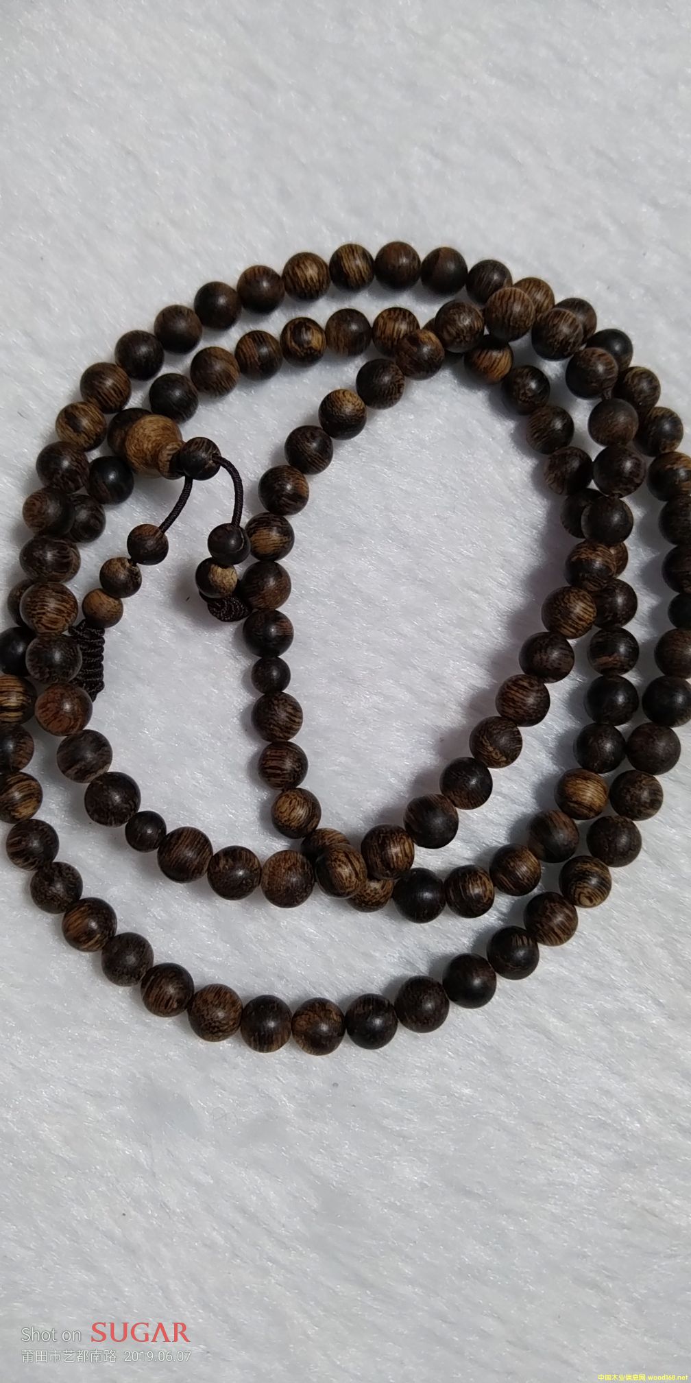 ���������Ԕ��(x��)��B