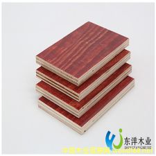 �ߌӽ���ģ��