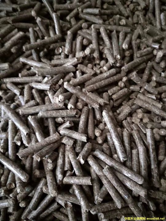 �����|(zh��)�w��