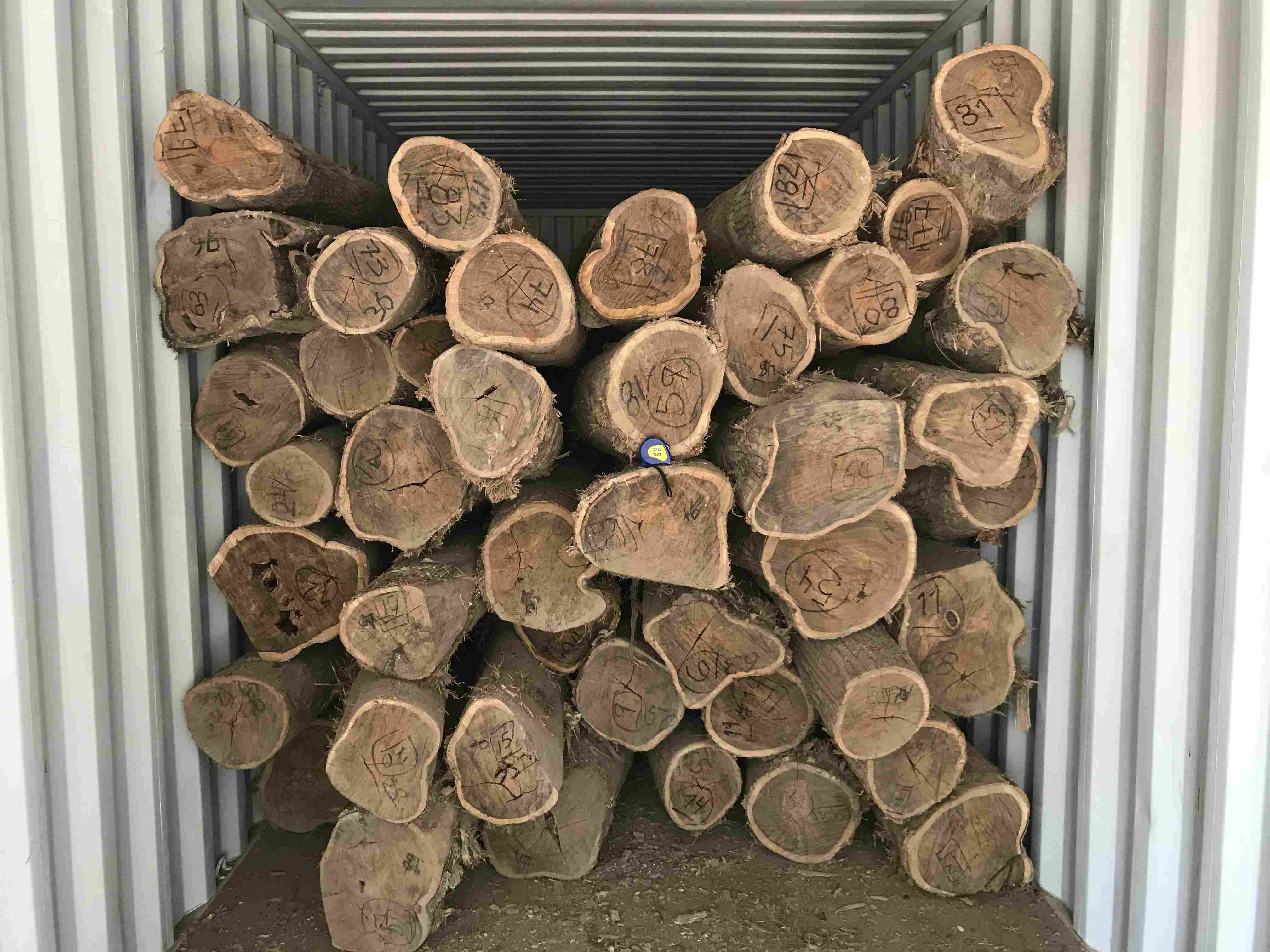 ī�����S��̴