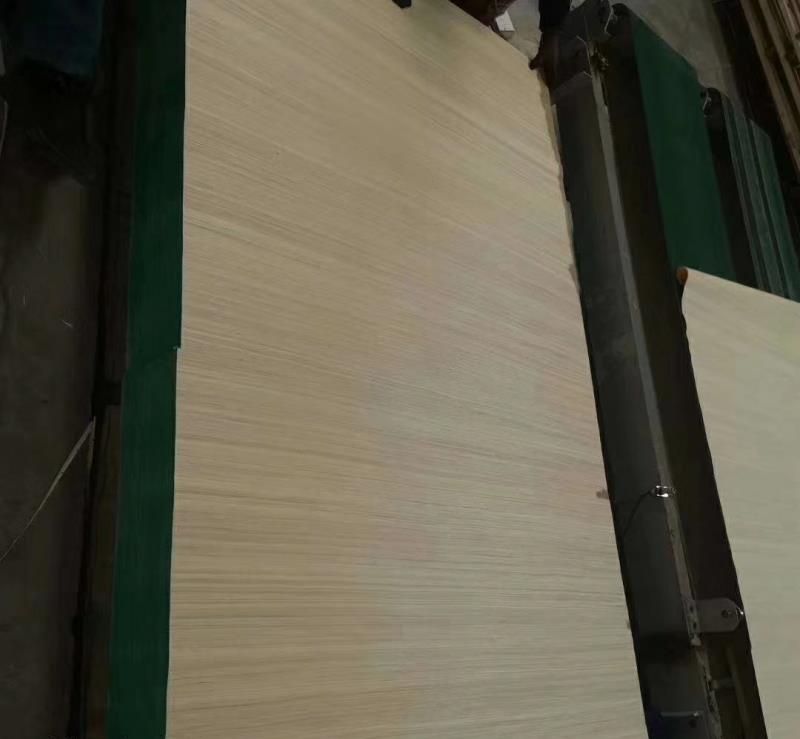 ���L���ή��͙M�y���w�S�Ƽ�ľƤ48�߸��NҎ(gu��)��