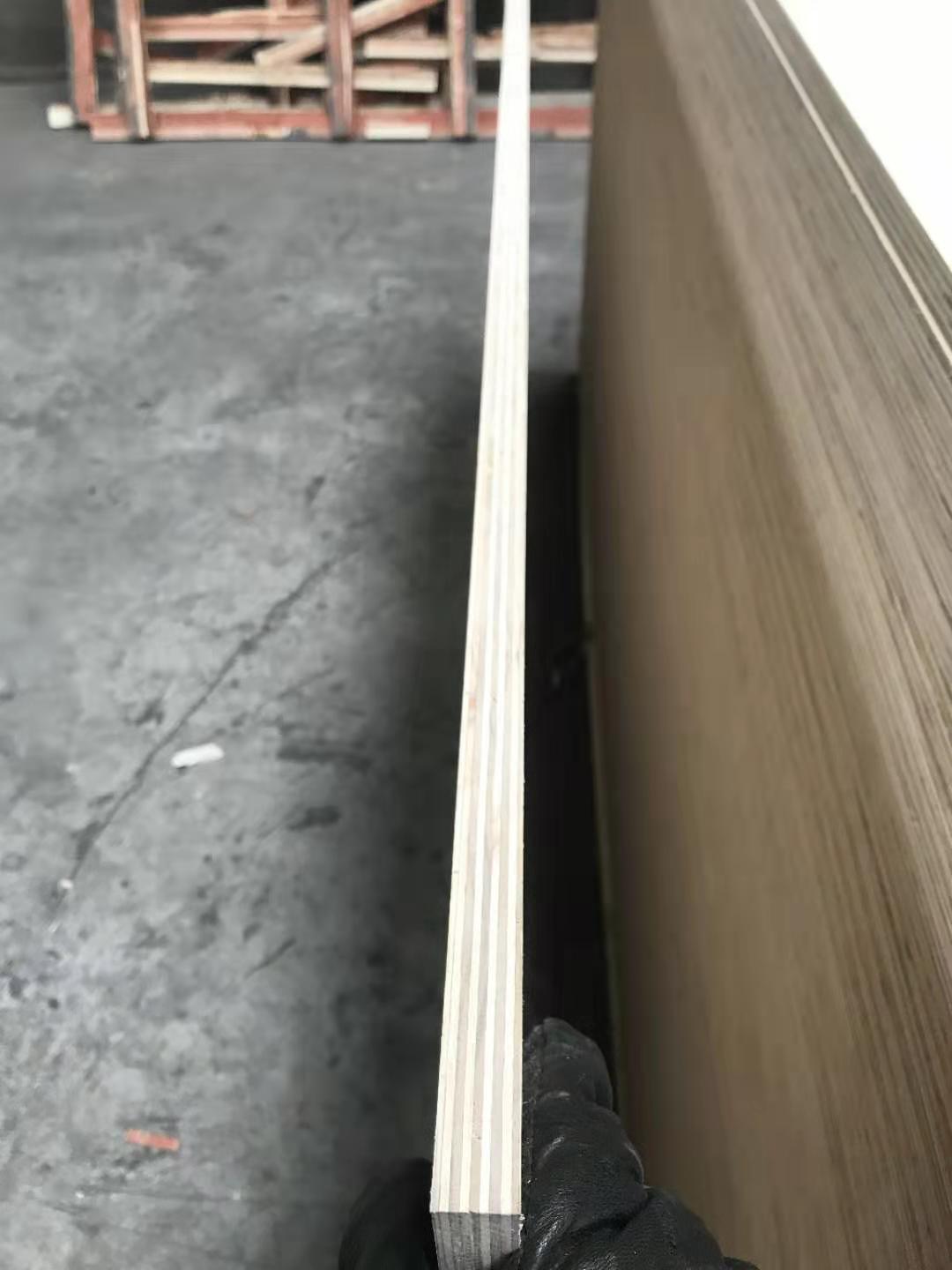 ���ĵ�Ԕ����B