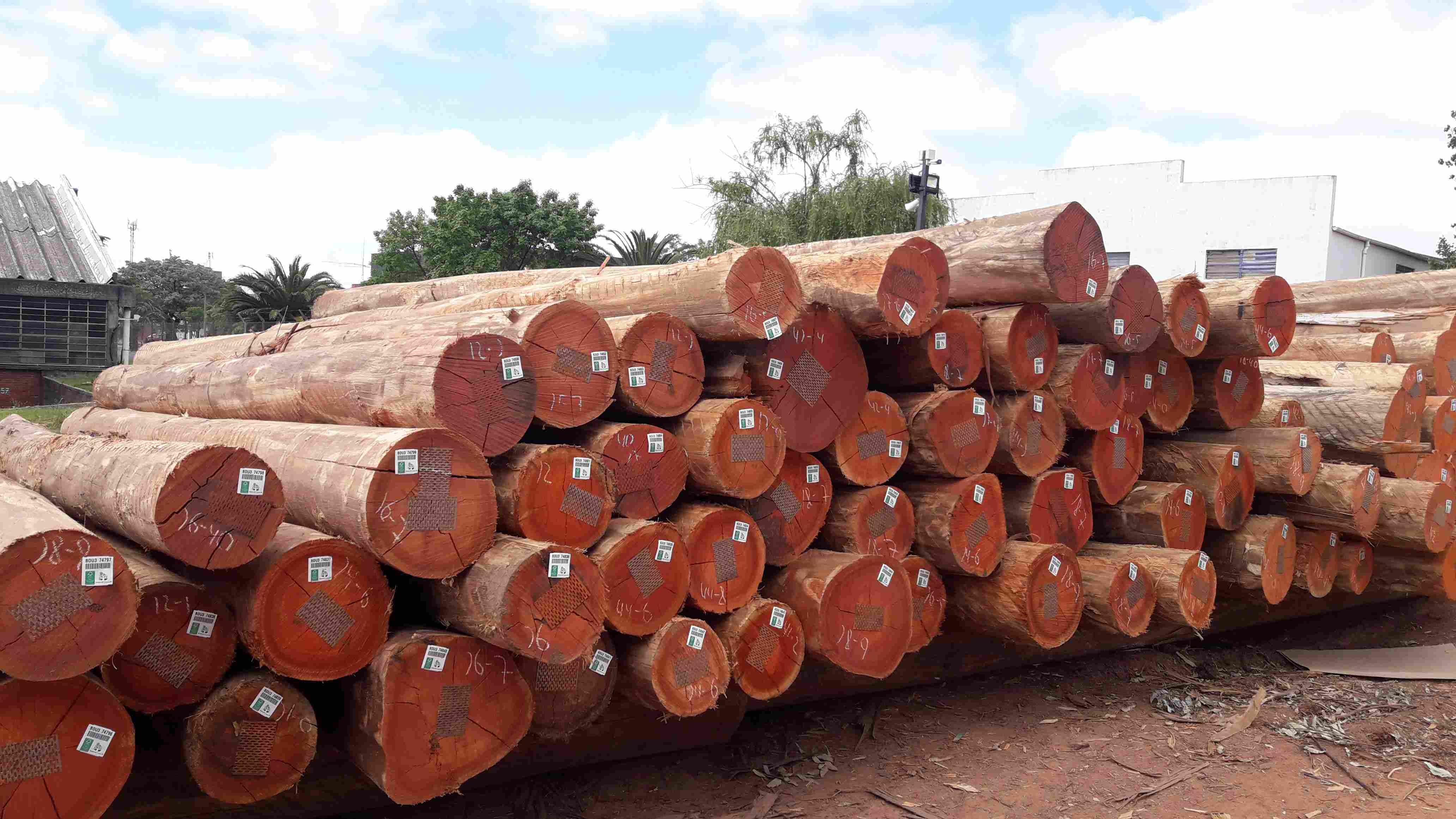 �]���޼���õ�尴ԭľ