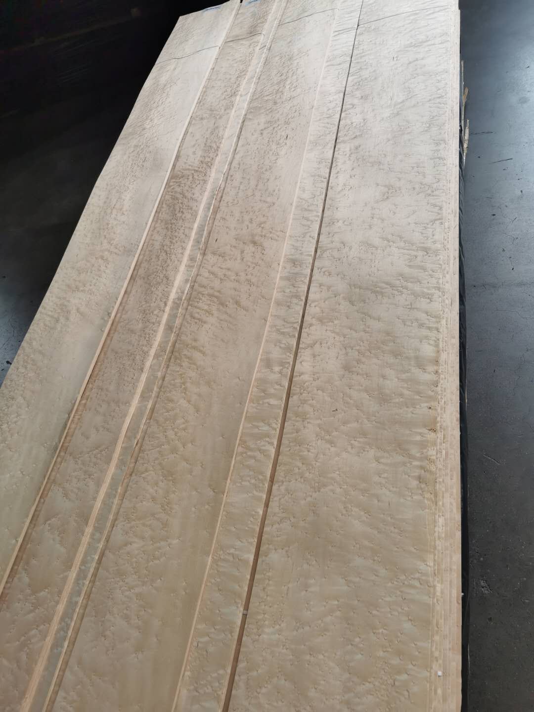 本色雀眼的詳細(xì)介紹