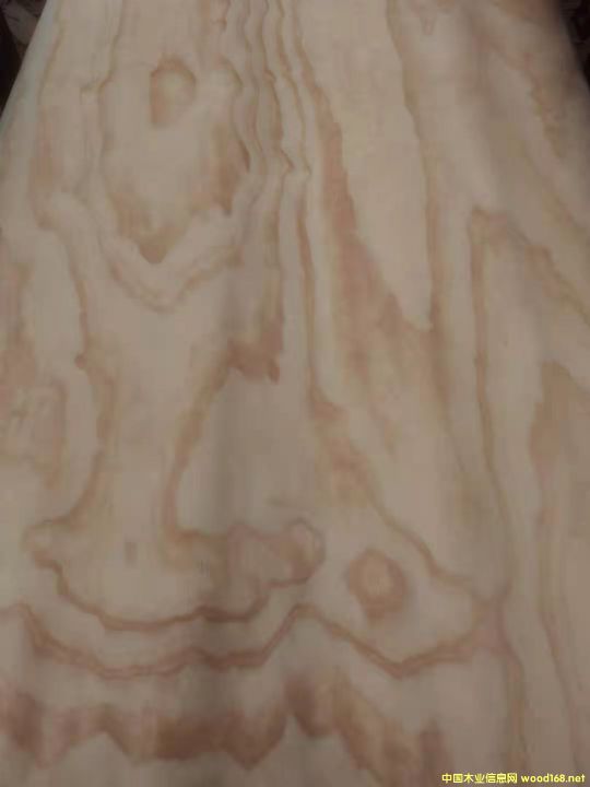  ݗ���ɵ�Ԕ��(x��)��B