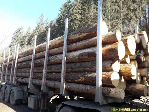 ԭľ��Ԕ����B