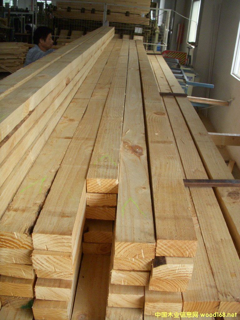 [��] ����؛�������mSouthpineݗ���ɼҾ߼�