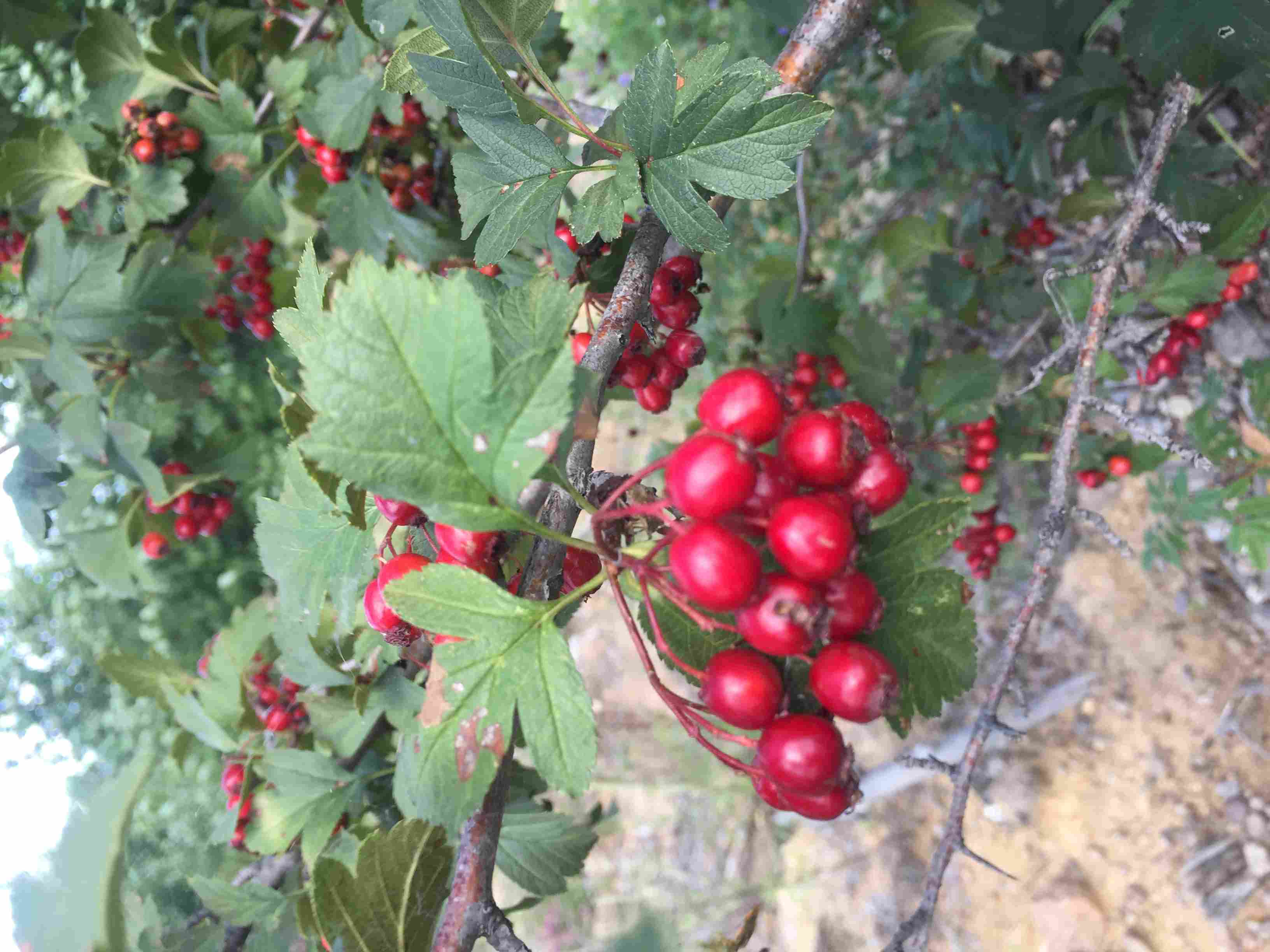 ������������ ë�l