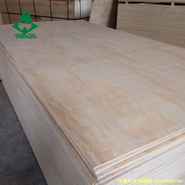 �Ҿ߼��z�ϰ��Ԕ����B