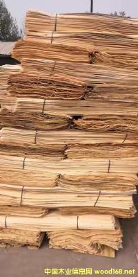 ��ľ�ΰ��Ԕ����B