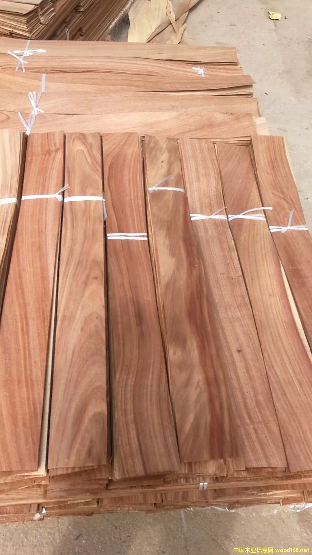 ����ľƤ�ϴ��~�����Ԕ����B