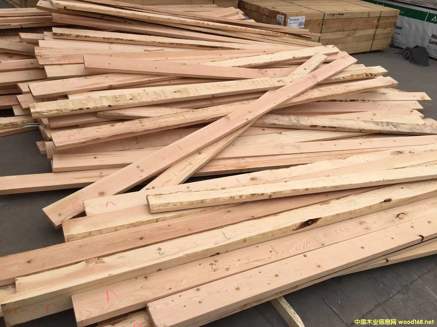 38*140����(j��)�Fɼ���