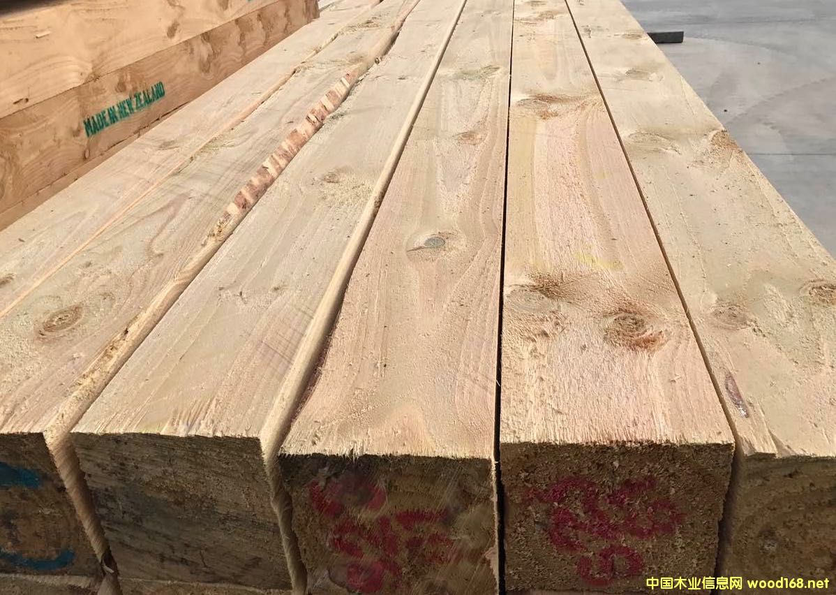 ���I(y��)ľ��