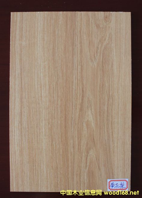 ���B(t��i)��-�S�����Ԕ��(x��)��B