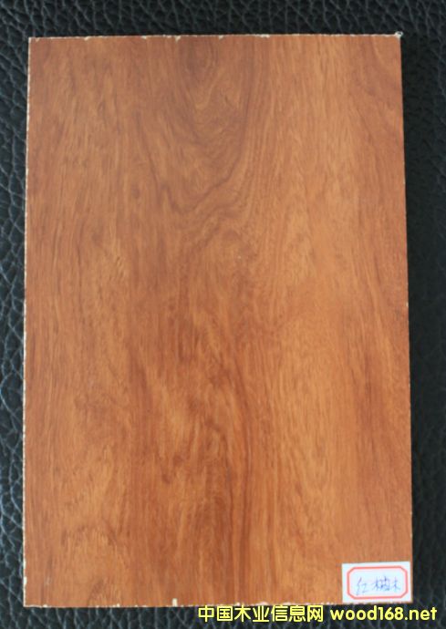 ���B(t��i)��-�t��ľ��Ԕ��(x��)��B