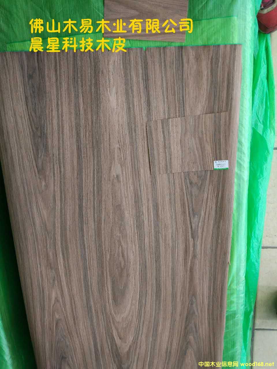 黑胡桃的詳細(xì)介紹