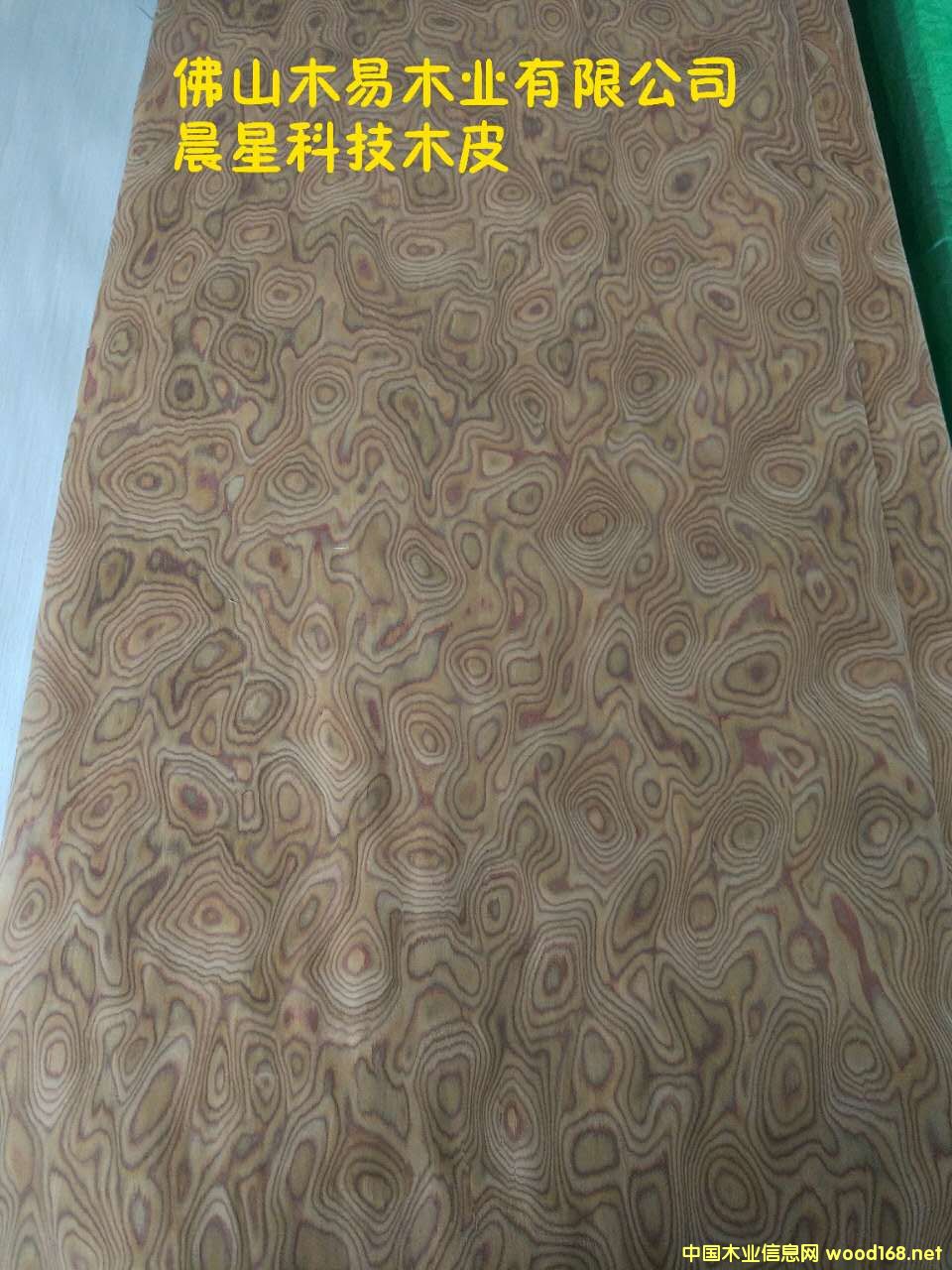 櫻桃樹根的詳細(xì)介紹