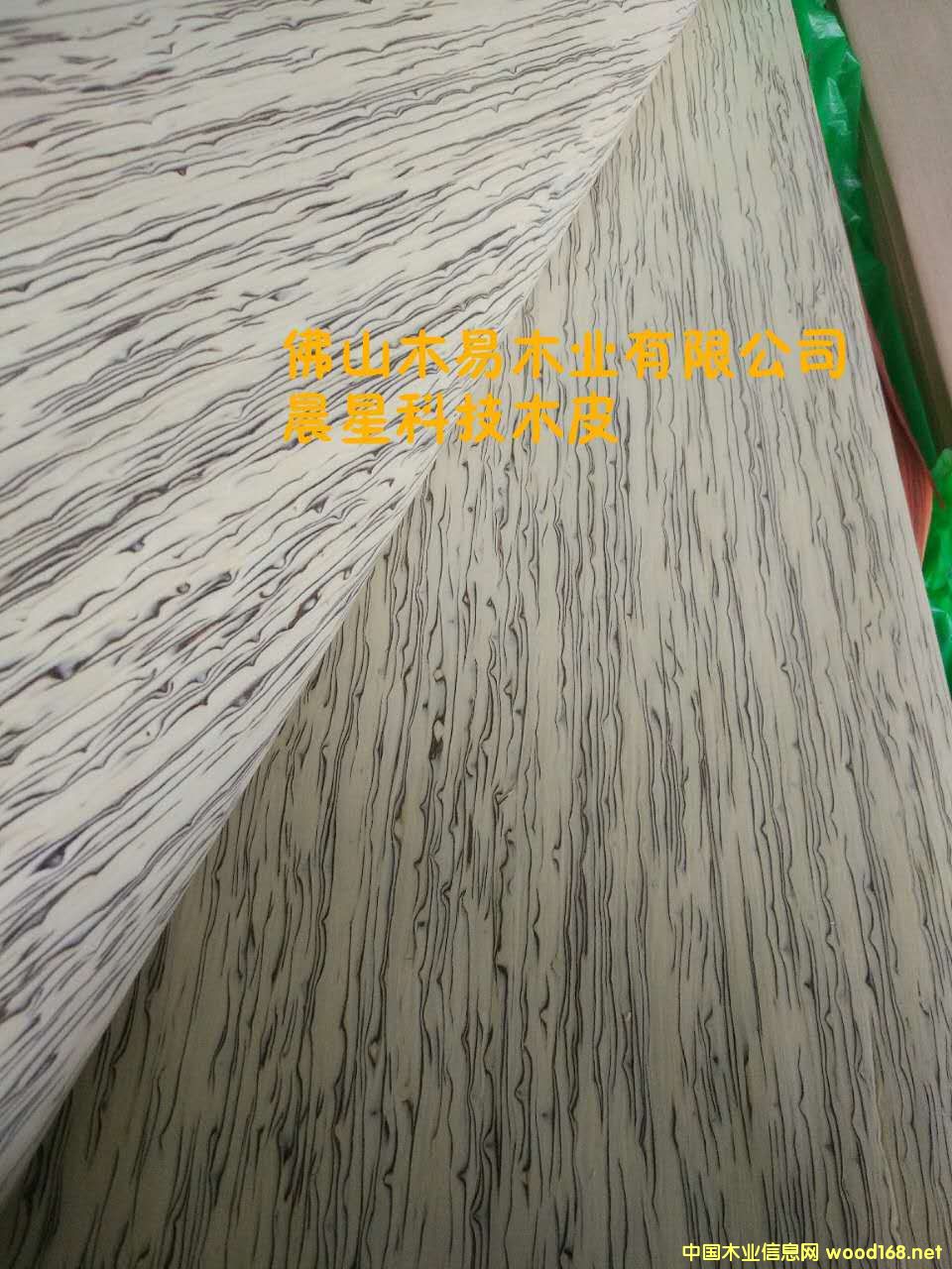 白冰樹的詳細(xì)介紹