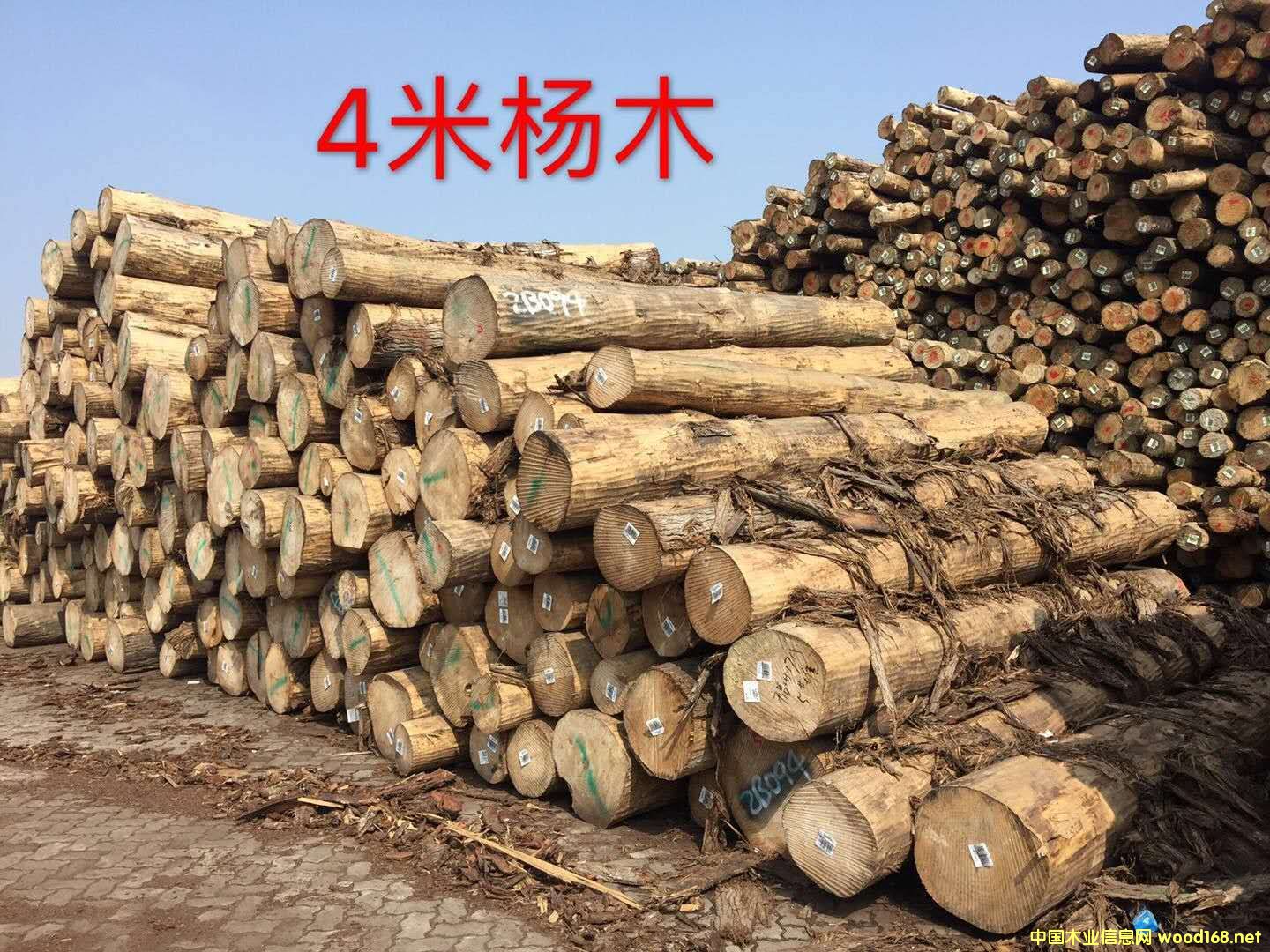 [��] �M(j��n)�ڗ�ľ