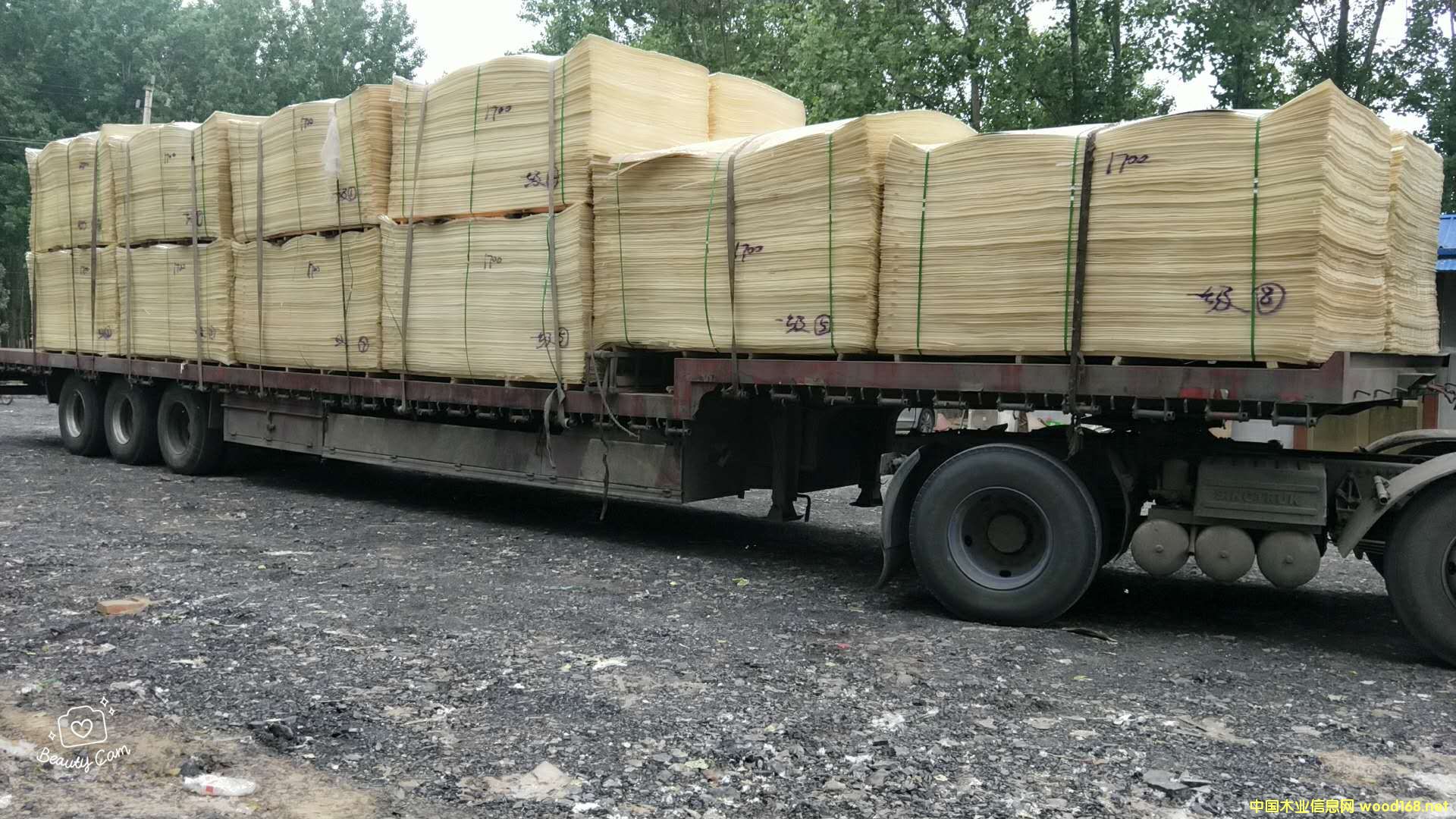 ��ľƯ�׵�Ԕ����B